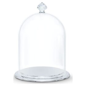 Campana di vetro da esposizione piccola