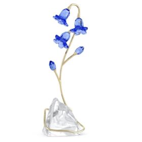 Campanula blu di Florere