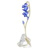 Campanula blu di Florere