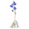 Campanula blu di Florere