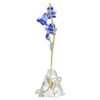 Campanula blu di Florere