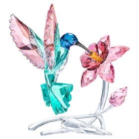 Colibrì Colibrì