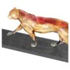 Edizione limitata: il ghepardo Edizione limitata: il ghepardo