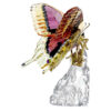 Farfalla Idyllia Farfalla Idyllia