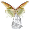 Farfalla Idyllia Farfalla Idyllia