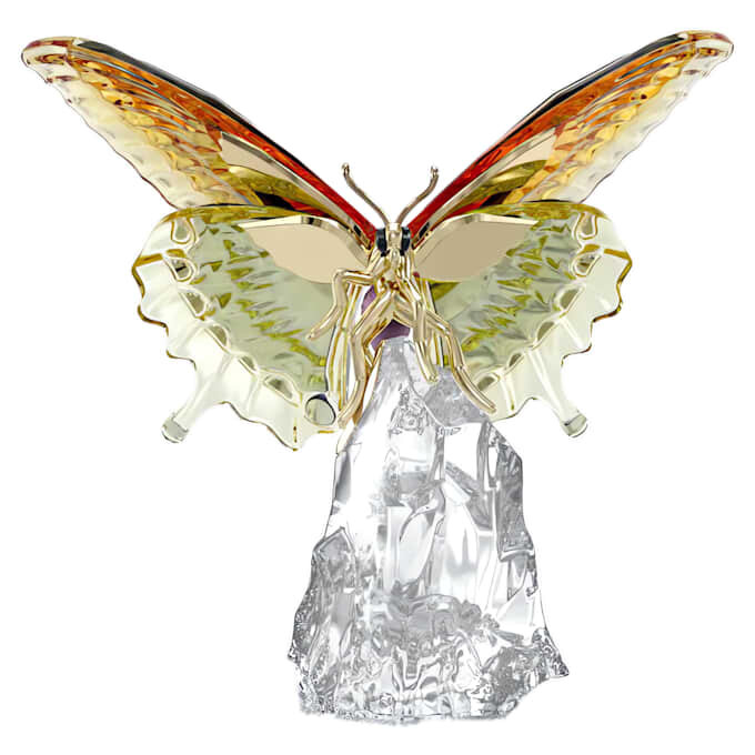 Farfalla Idyllia Farfalla Idyllia