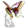 Farfalla Idyllia Farfalla Idyllia