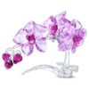 Fiori di cristallo: Orchidea Fiori di cristallo: Orchidea