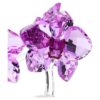 Fiori di cristallo: Orchidea Fiori di cristallo: Orchidea