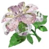 Florere Camellia