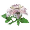 Florere Camellia