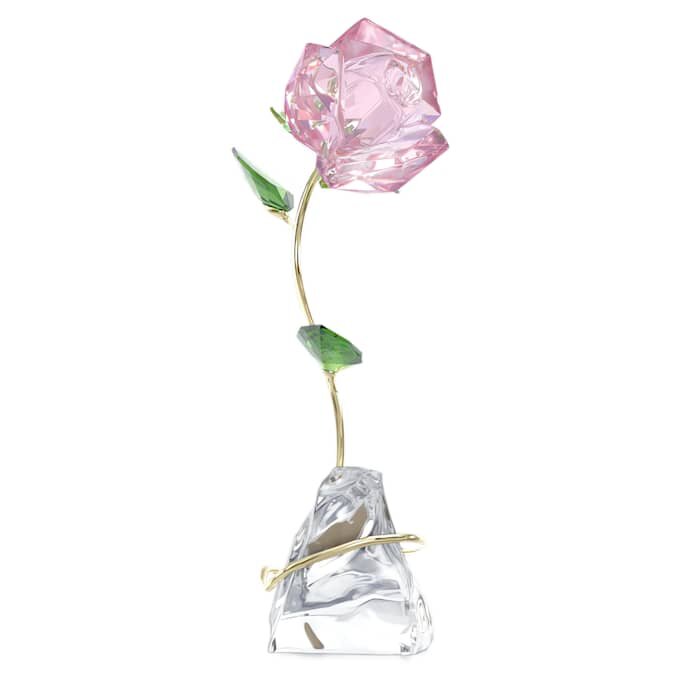 Florere Rose Florere Rose