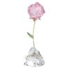 Florere Rose Florere Rose