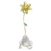 Giglio Florere