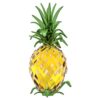 Idyllia Ananas