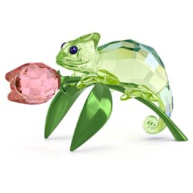 Idyllia Camaleonte e Tulipano