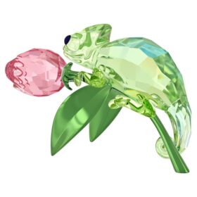 Idyllia Camaleonte e Tulipano