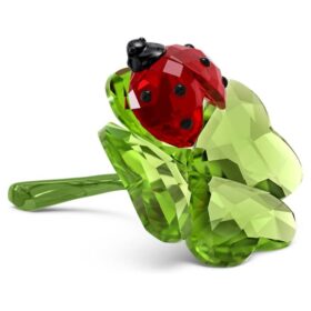 Idyllia: Coccinella e trifoglio