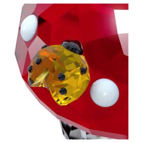 Idyllia: Fungo e coccinelle