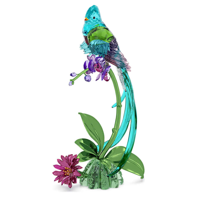 Idyllia Quetzal e Orchidea Idyllia Quetzal e Orchidea