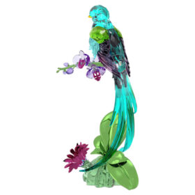 Idyllia Quetzal e Orchidea