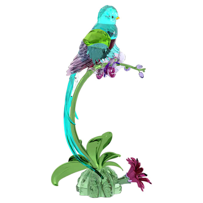 Idyllia Quetzal e Orchidea Idyllia Quetzal e Orchidea