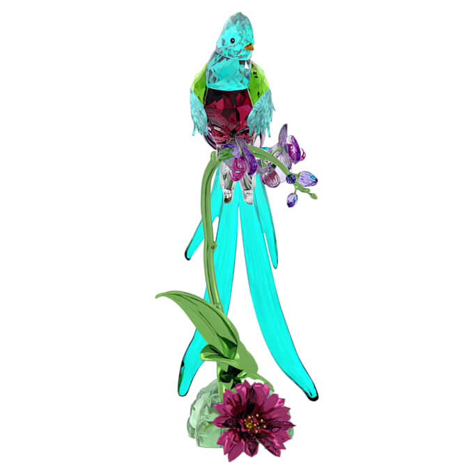 Idyllia Quetzal e Orchidea Idyllia Quetzal e Orchidea