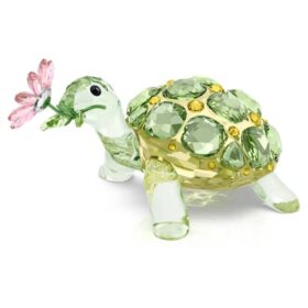 Idyllia Tartaruga e margherita