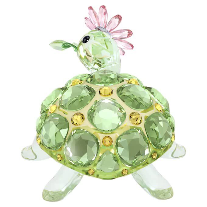 Idyllia Tartaruga e margherita Idyllia Tartaruga e margherita