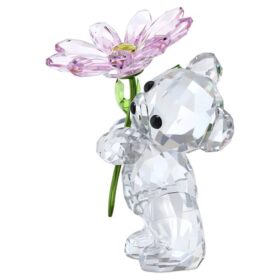 Kris Bear: una margherita per te