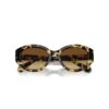 Occhiali da sole a forma di occhio di gatto, Sk6008, marroni Occhiali da sole a forma di occhio di gatto, Sk6008, marroni