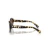 Occhiali da sole a forma di occhio di gatto, Sk6008, marroni Occhiali da sole a forma di occhio di gatto, Sk6008, marroni