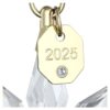 Ornamento 3D Edizione Annuale 2025 Ornamento 3D Edizione Annuale 2025