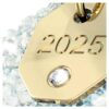 Ornamento a forma di campana Edizione Annuale 2025 Ornamento a forma di campana Edizione Annuale 2025