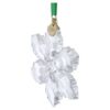 Ornamento Edizione Annuale 2026