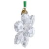 Ornamento Edizione Annuale 2026