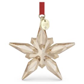 Ornamento festivo edizione annuale 2025