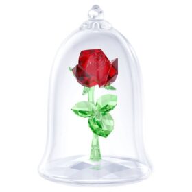 Rosa incantata