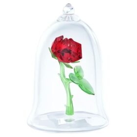 Rosa incantata