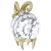 Segno zodiacale Capricorno