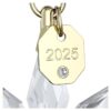 Set di ornamenti 3D Edizione Annuale 2025